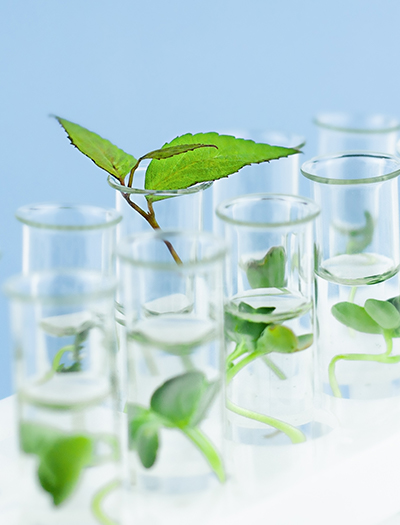 PFAS Free Products